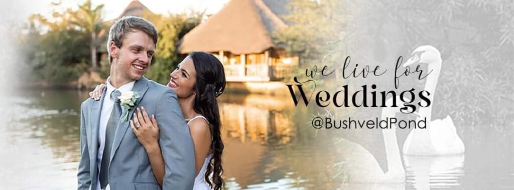 whatsapp image 2025 09 16 at 3.16.42 pm